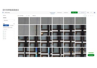 資料集標籤截圖畫面
 