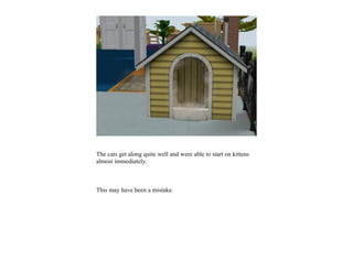 The cats get along quite well and were able to start on kittens
almost immediately.



This may have been a mistake.
 