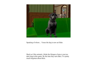 Speaking of whom… Venus the dog is now an Elder.




Much as I like animals, I think the lifespan of pets is just too
darn long in this game. By the time they turn elder, I’ve pretty
much forgotten about them.
 