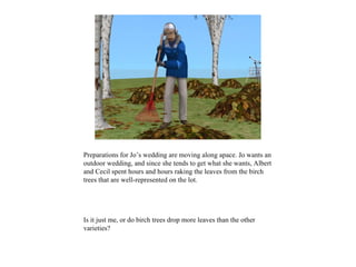 Preparations for Jo’s wedding are moving along apace. Jo wants an
outdoor wedding, and since she tends to get what she wants, Albert
and Cecil spent hours and hours raking the leaves from the birch
trees that are well-represented on the lot.




Is it just me, or do birch trees drop more leaves than the other
varieties?
 