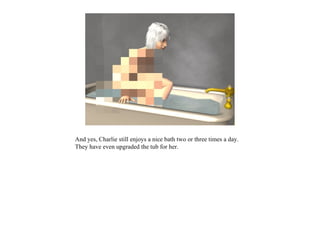 And yes, Charlie still enjoys a nice bath two or three times a day.
They have even upgraded the tub for her.
 