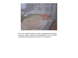However, unlike real iguanas which eat chopped and shredded
fruits and veggies, Theodore eats dried pellets. Not so good for
real!iguanas, but apparently just fine for sim!iguanas.
 