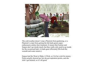 The cold weather doesn’t stop a Plantsim from gardening, or a
Plantsim’s crops from getting the full dark-green-super-
enthusiastic-smiley-face treatment. It means that Fantine and
Saigon don’t go inside much, but they really only need to go inside
for the occasional bath. (A bath quite efficiently fills both the
warmth and water meters.)

Saigon had the Want to Make A Wish, so I let her wish for money.
None actually showed up, but she got aspiration points, and she
didn’t get beaned, so it’s all good.
 