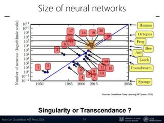 Size of neural networks
14From Ian Goodfellow, MIT Press 2016
 