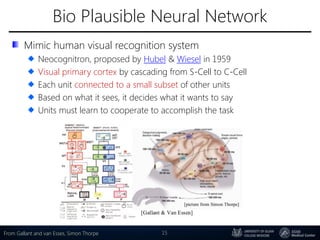 Bio Plausible Neural Network
Mimic human visual recognition system
Neocognitron, proposed by Hubel & Wiesel in 1959
Visual primary cortex by cascading from S-Cell to C-Cell
Each unit connected to a small subset of other units
Based on what it sees, it decides what it wants to say
Units must learn to cooperate to accomplish the task
15From Gallant and van Esses, Simon Thorpe
 