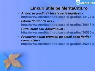 Linkuri utile pe MeritaCitit.ro Ai flori in gradina? Invata sa le ingrijesti  -  http://www.meritacitit.ro/casa-si-gradina/33128-ai-flori-in-gradina-invaa-sa-le-ingrijeti Istoria florilor de iris  -  http://www.meritacitit.ro/casa-si-gradina/30617-istoria-florilor-de-iris---comanda-flori Gura leului sau Antirrhinum  -  http://www.meritacitit.ro/casa-si-gradina/30520-gura-leului-sau-antirrhinum--florarie-online Premiera: acum primesti pe email poza florilor comandate  -  http://www.meritacitit.ro/casa-si-gradina/30215-premiera-acum-primeti-pe-email-poza-florilor-comandate 