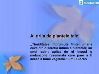 Ai grija de plantele tale! ,,Timiditatea imprumuta fiintei umane ceva din discretia intima a plantelor, iar unui spirit agitat de el insusi o melancolie resemnata care pare a fi aceea a lumii vegetale.” Emil Cioran 