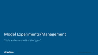 11© Cloudera, Inc. All rights reserved.
Model Experiments/Management
Trials and errors to find the “gem”
 