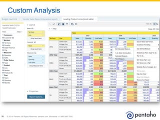 © 2014, Pentaho. All Rights Reserved. pentaho.com. Worldwide +1 (866) 660-755520
Custom Analysis
 