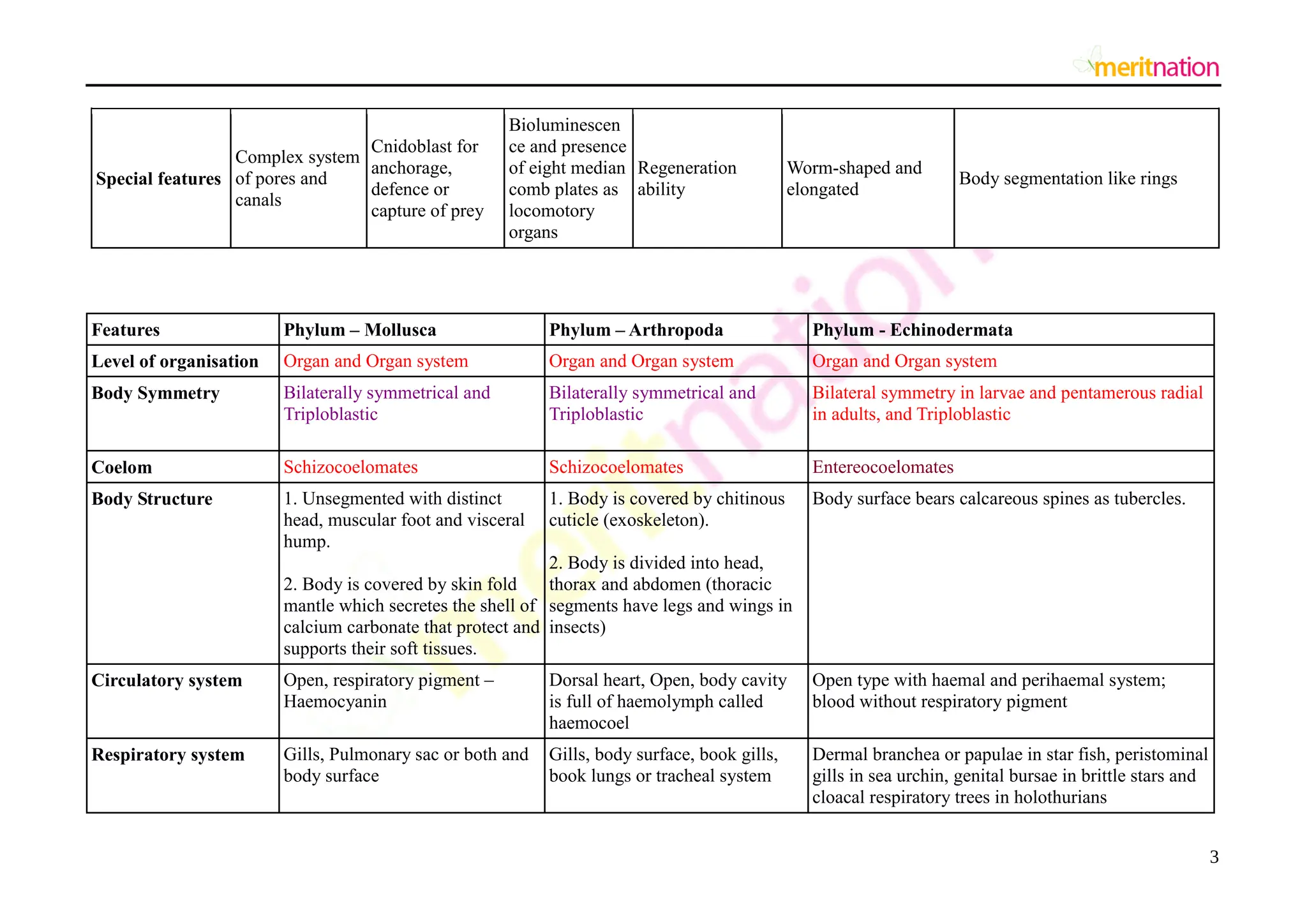 AIPMT Biology Animal Kingdom Notes Diagrams pdf Aipmt biology animal kingdom notes diagrams pdf