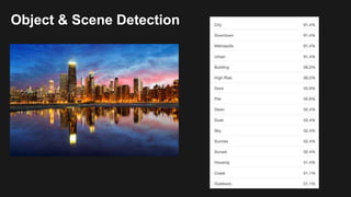 Object & Scene Detection
 
