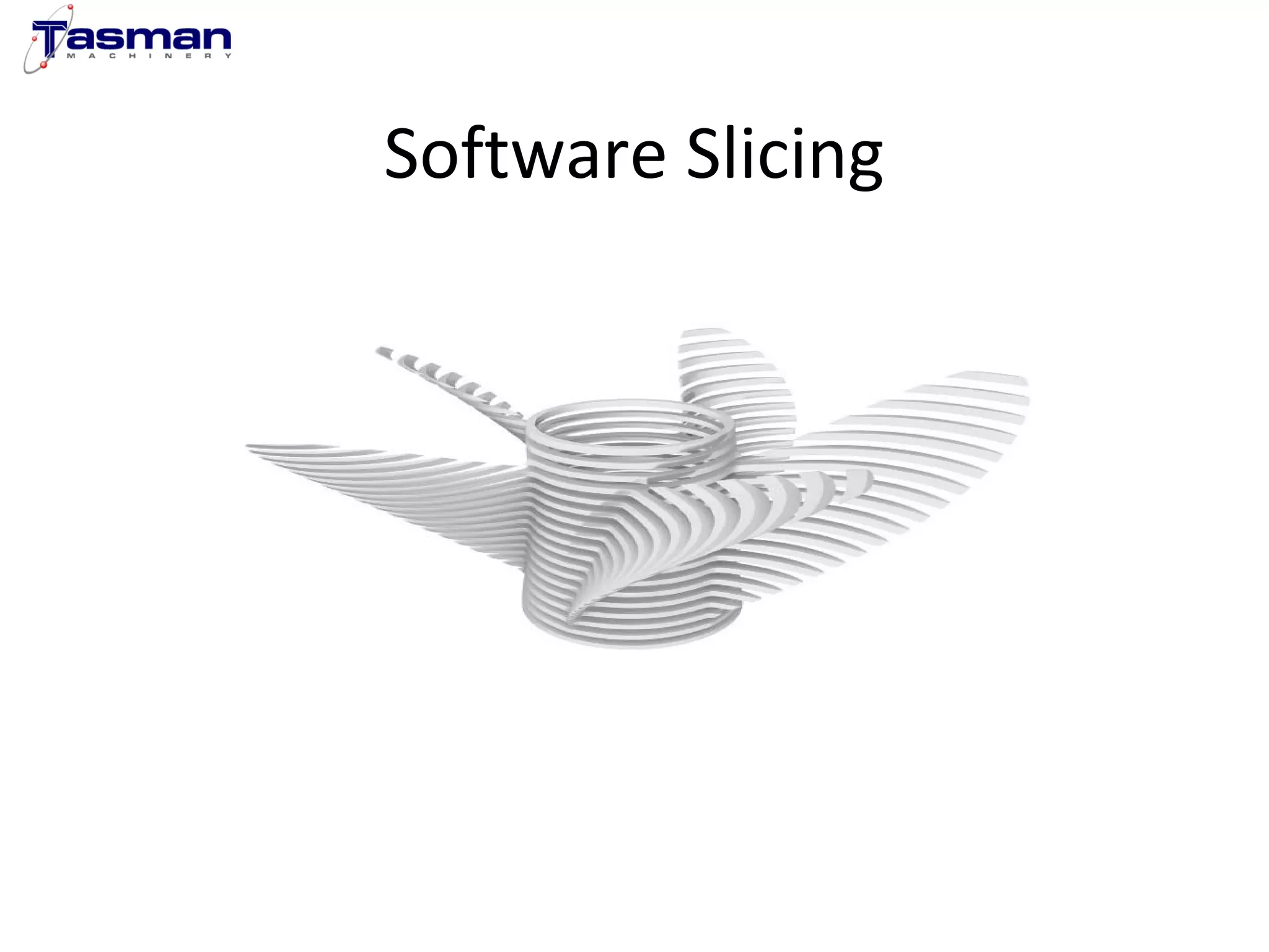 Software Slicing 
 