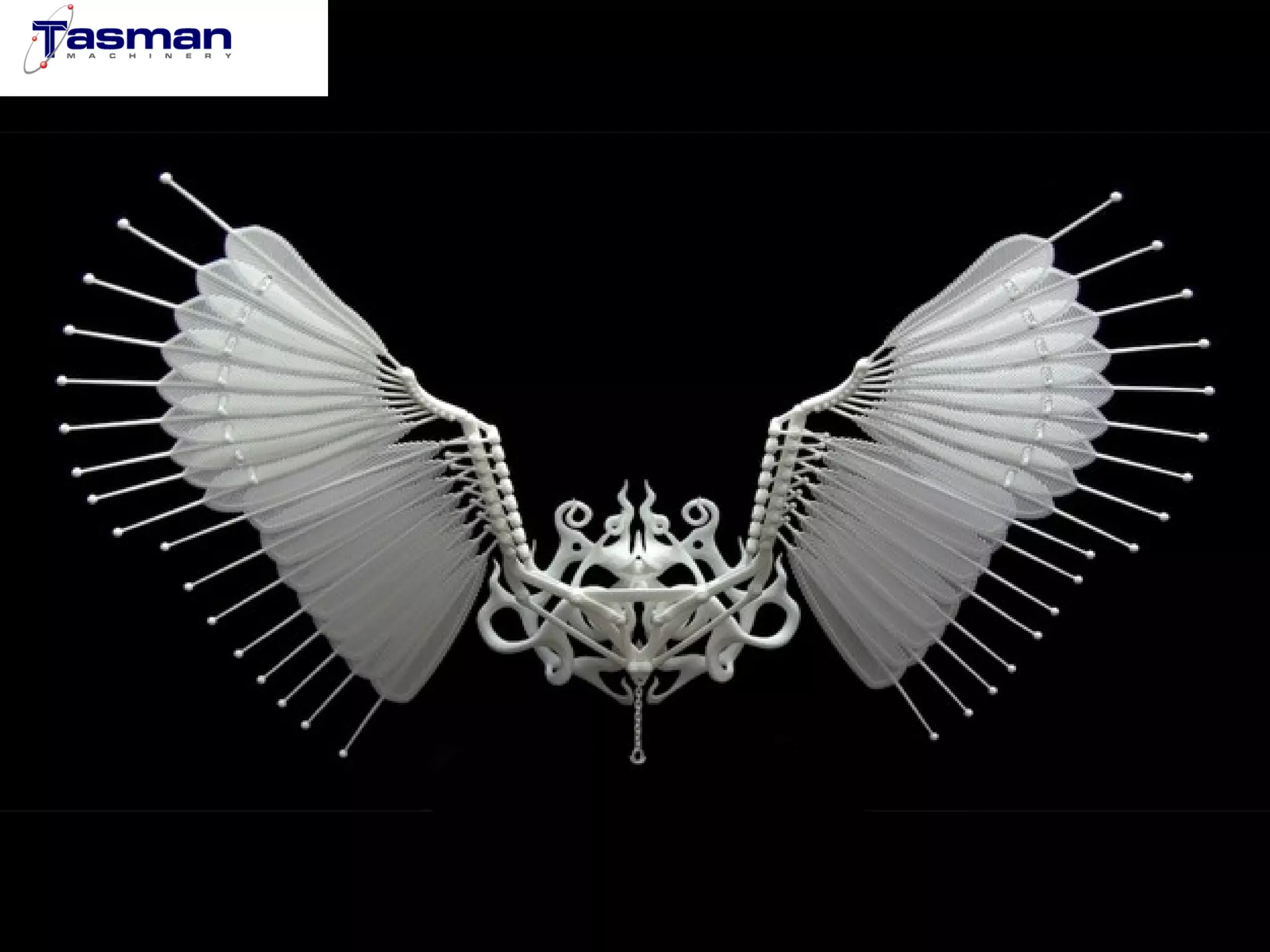 AIP presentation   Tasman 3D