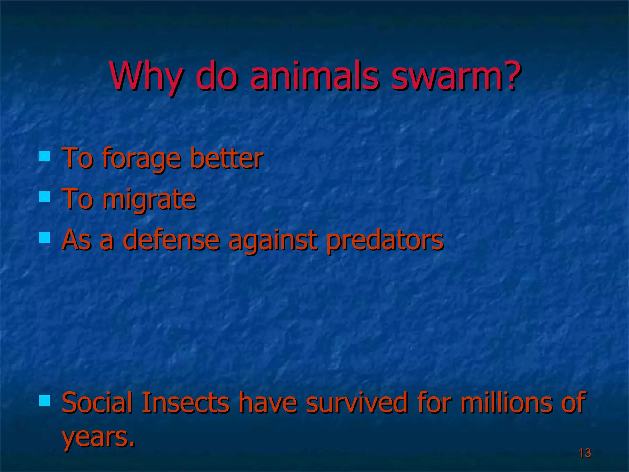 Why do animals swarm? To forage better To migrate As a defense against predators Social Insects have survived for millions of years. 