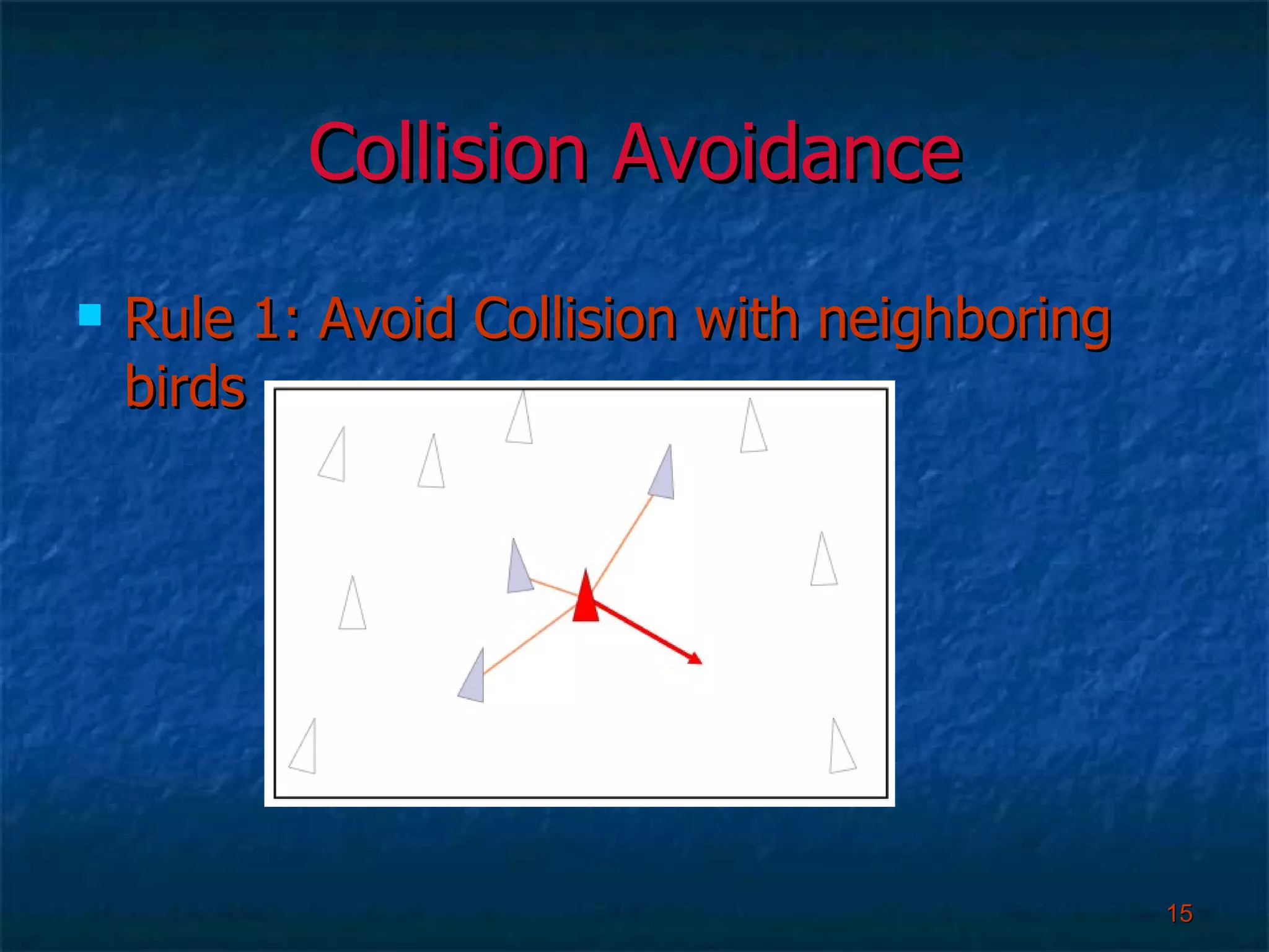 Collision Avoidance Rule 1: Avoid Collision with neighboring birds  