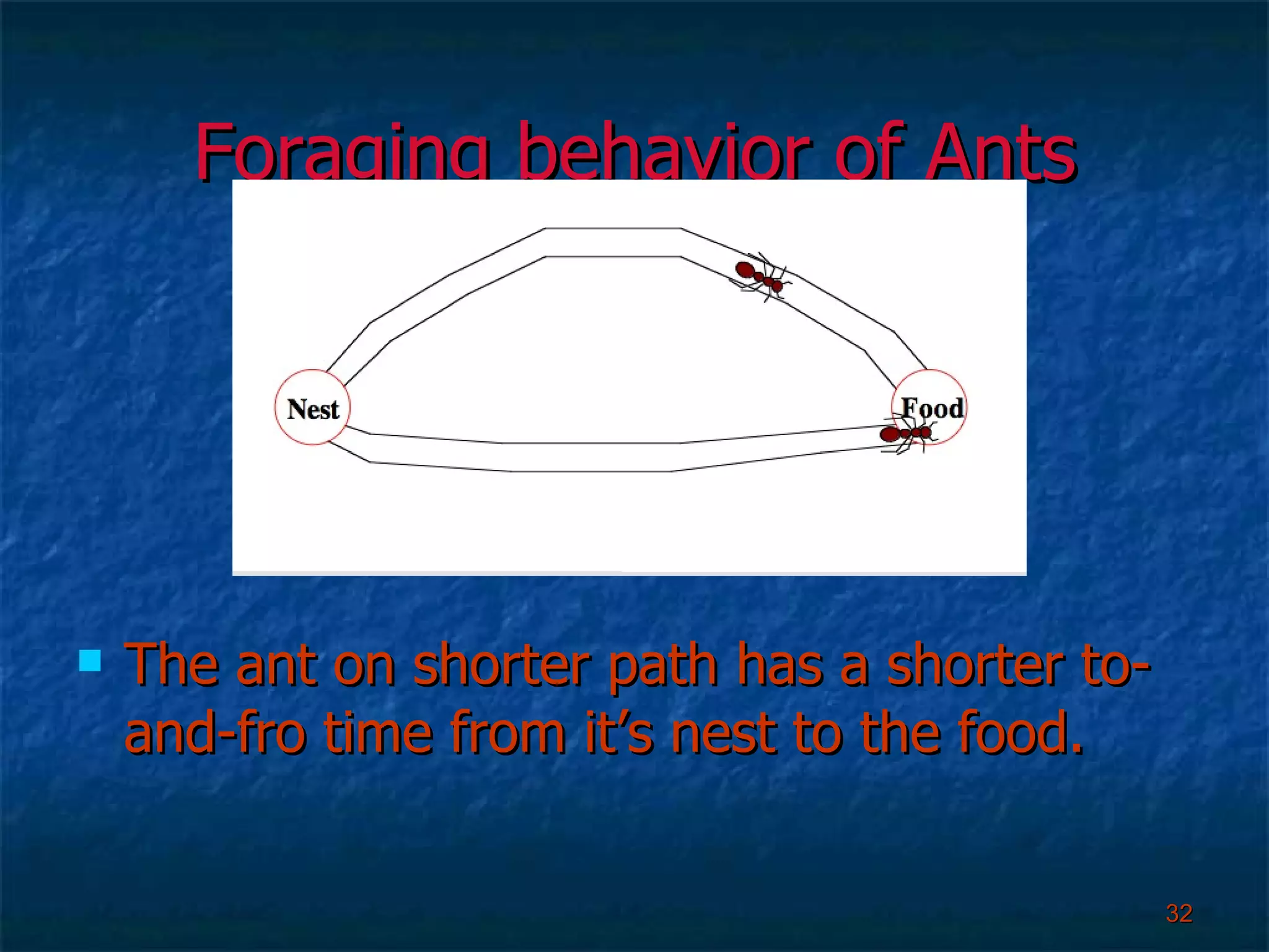 Foraging behavior of Ants The ant on shorter path has a shorter to-and-fro time from it’s nest to the food. 
