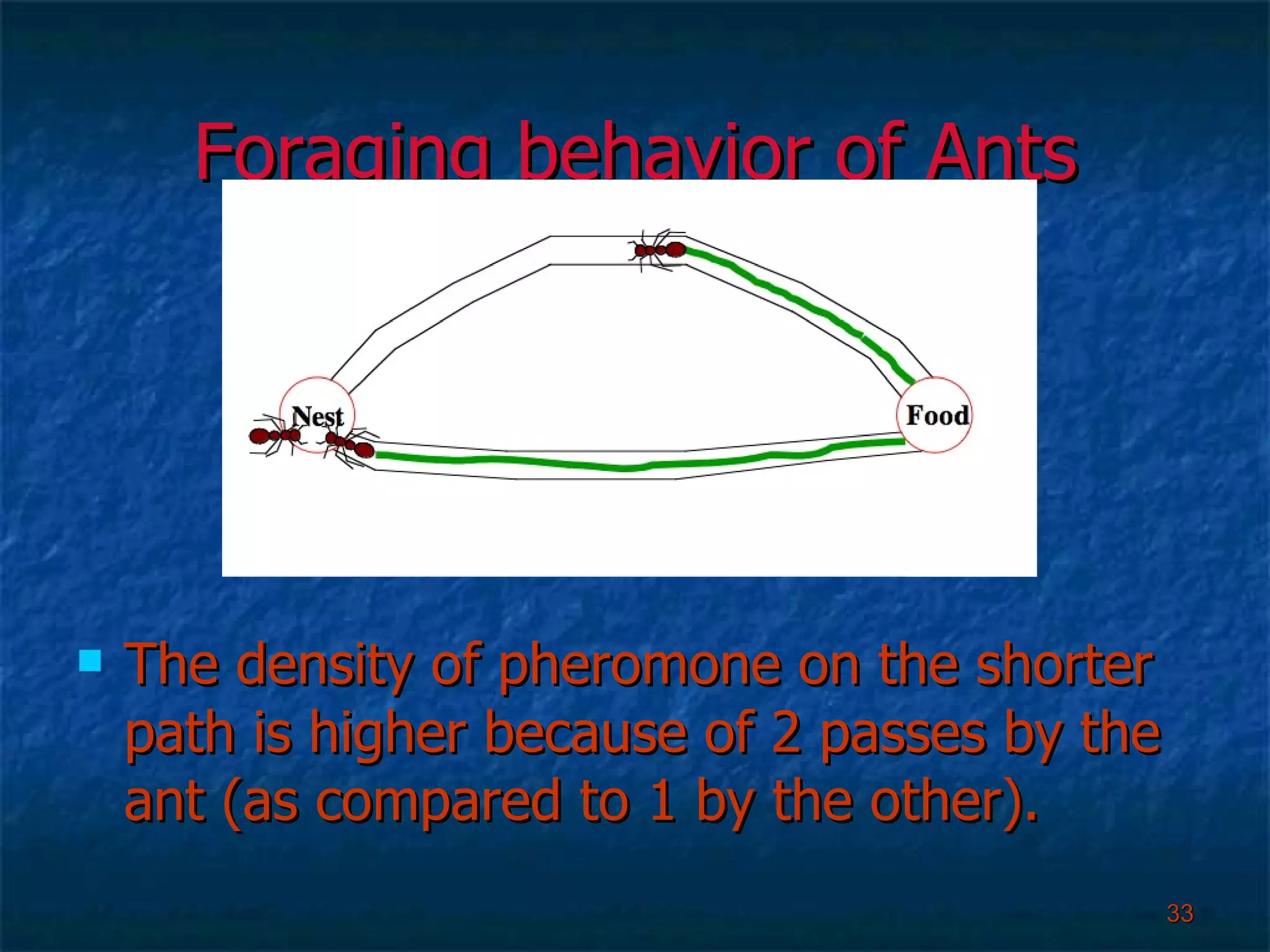Foraging behavior of Ants The density of pheromone on the shorter path is higher because of 2 passes by the ant (as compared to 1 by the other). 