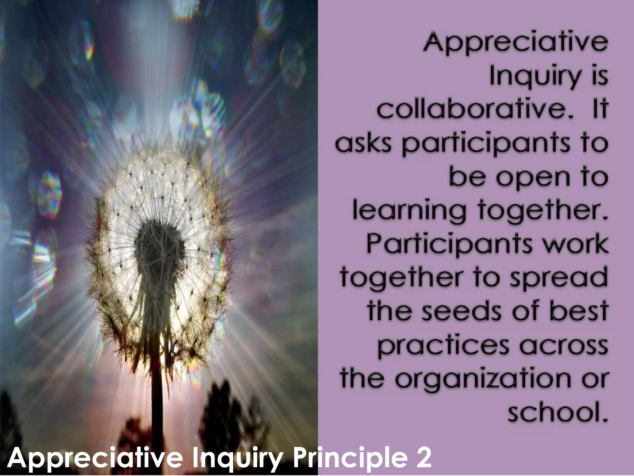 Appreciative Inquiry Principle 2Appreciative Inquiry Principle 2
 
