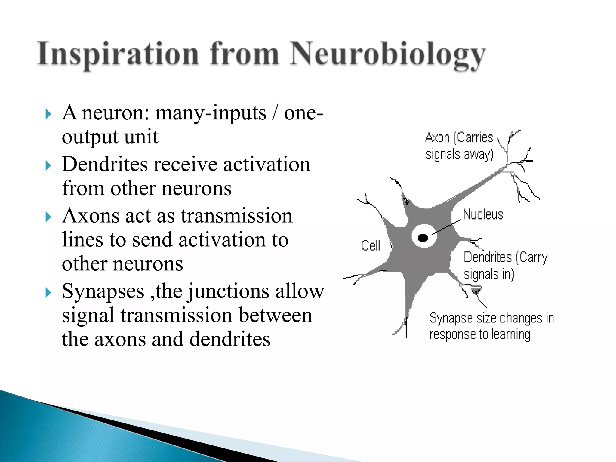    A neuron: many-inputs / one-
    output unit
   Dendrites receive activation
    from other neurons
   Axons act as transmission
    lines to send activation to
    other neurons
   Synapses ,the junctions allow
    signal transmission between
    the axons and dendrites
 