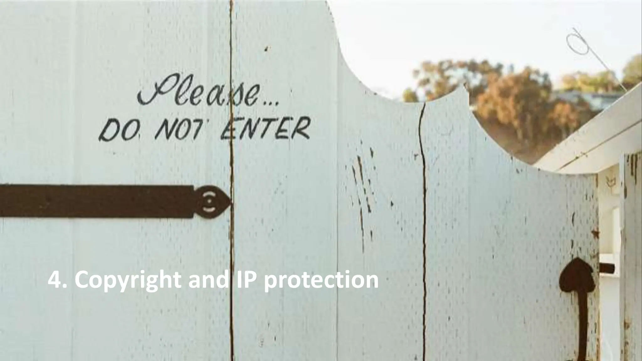 4. Copyright and IP protection
 