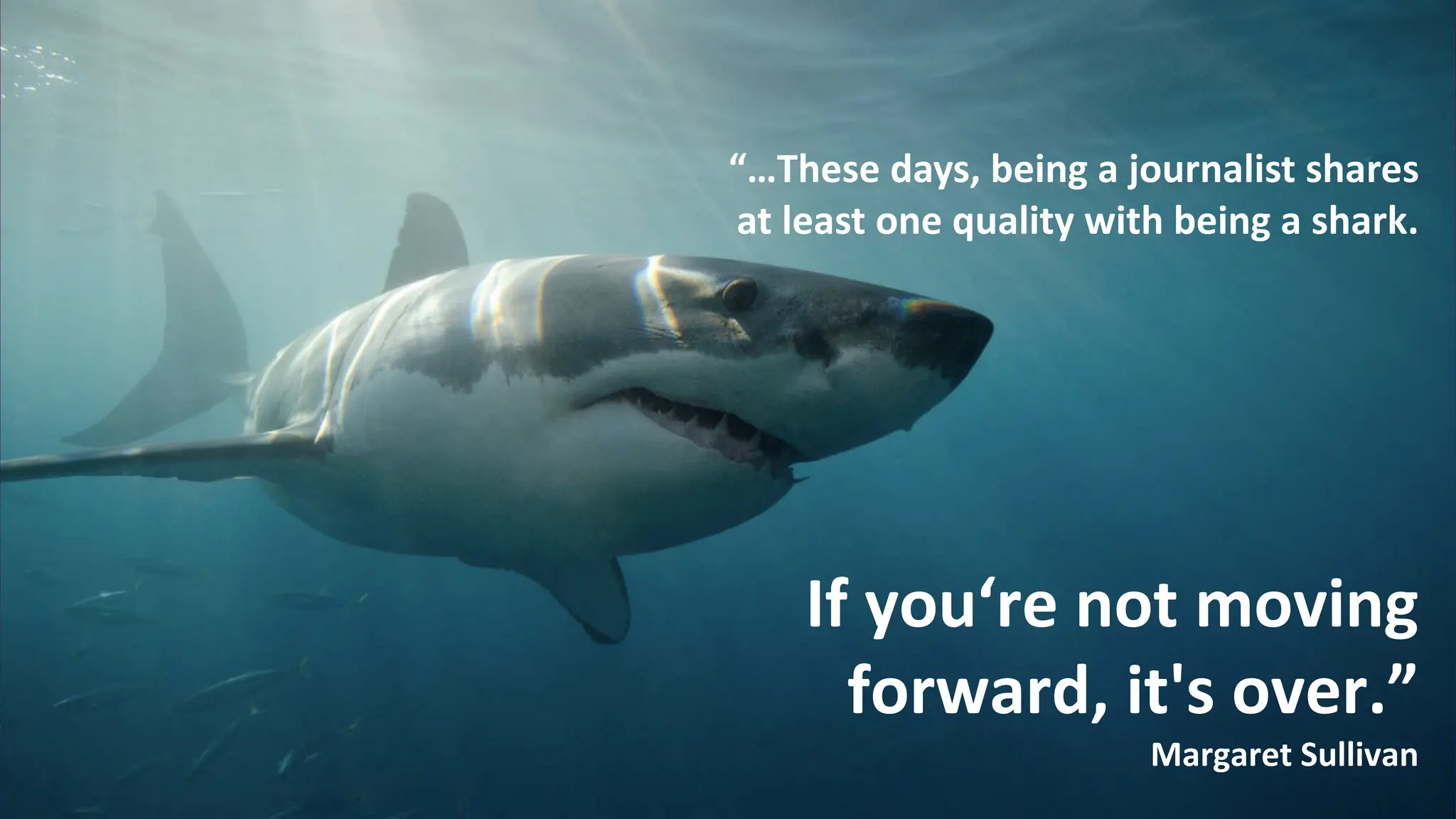“…These days, being a journalist shares
at least one quality with being a shark.
If you‘re not moving
forward, it's over.”
Margaret Sullivan
 