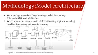 Methodology:Model Architecture
13
Figure5. An illustration of the structure of our model training
• We are using pre-trained deep learning models including
EfficientNetB0 and MobileNet.
• We compared this models under different training regimes including
baseline, fine-tuning and transfer learning.
Input
124x124x1 124x124x64 124x124x64 14x14x128 7x7x256 7x7x256 7x7x256
 