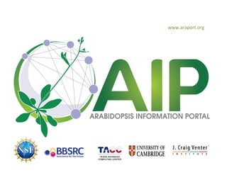 www.araport.org 
 