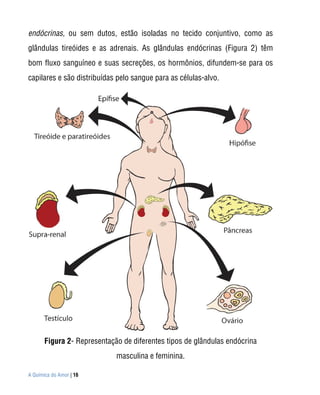 endócrinas, ou sem dutos, estão isoladas no tecido conjuntivo, como as
glândulas tireóides e as adrenais. As glândulas endócrinas (Figura 2) têm
bom fluxo sanguíneo e suas secreções, os hormônios, difundem-se para os
capilares e são distribuídas pelo sangue para as células-alvo.




       Figura 2- Representação de diferentes tipos de glândulas endócrina
                             masculina e feminina.

A Química do Amor | 16
 