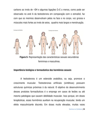 carbono ao invés de –OH e algumas ligações C=C a menos, como pode ser
observado no anel A da testosterona em comparação com o estradiol, faz
com que os meninos desenvolvam pelos na face e no corpo, voz grossa e
músculos mais fortes ao invés de seios, quadris mais largos e menstruação.




      Figura 5- Representação das características sexuais secundárias
                         femininas e masculinas.


Importância biológica e farmacêutica dos hormônios sexuais


       A testosterona é um esteroide anabólico, ou seja, promove o
crescimento muscular. Testosteronas artificiais (sintéticas) possuem
estruturas químicas próximas à da natural. O objetivo do desenvolvimento
desses produtos farmacêuticos é o emprego em casos de lesões ou até
mesmo patologias que causem debilidade muscular. Isso porque, em doses
terapêuticas, esses hormônios auxiliam na recuperação muscular, tendo um
efeito masculinizante discreto. Em doses muito elevadas, muitas vezes
                                                          Química no Cotidiano | 25
 