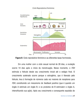 Figura 6- Ciclo reprodutivo feminino e as diferentes taxas hormonais.


      Em uma mulher com o ciclo sexual normal de 28 dias, a ovulação
ocorre 14 dias após o início da menstruação. Nesse momento, o FSH
estimula o folículo desde seu crescimento inicial até o estágio final. O
crescimento acelerado ocorre porque o estrogênio, que é liberado pelo
folículo, leva à formação de números cada vez maiores de receptores para
FSH, constituindo um mecanismo de feedback positivo (que é quando um
órgão A estimula um órgão B, e os produtos de B estimulam o órgão A,
intensificando sua ação). Após seu crescimento e consequente expulsão do

                                                           Química no Cotidiano | 27
 