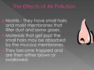 Nostrils - They have small hairs
  and moist membranes that
  filter dust and some gases.
 Materials that get past the
  small hairs may be absorbed
  by the mucous membranes.
 They become trapped and
  are then either blown or
  swallowed.
 