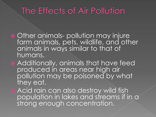  Other animals- pollution may injure
  farm animals, pets, wildlife, and other
  animals in ways similar to that of
  humans.
 Additionally, animals that have feed
  produced in areas near high air
  pollution may be poisoned by what
  they eat.
 Acid rain can also destroy wild fish
  population in lakes and streams if in a
  strong enough concentration.
 