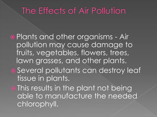  Plants  and other organisms - Air
 pollution may cause damage to
 fruits, vegetables, flowers, trees,
 lawn grasses, and other plants.
 Several pollutants can destroy leaf
  tissue in plants.
 This results in the plant not being
  able to manufacture the needed
  chlorophyll.
 
