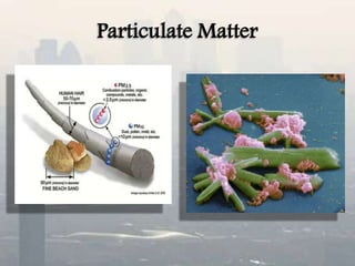 Particulate Matter
 