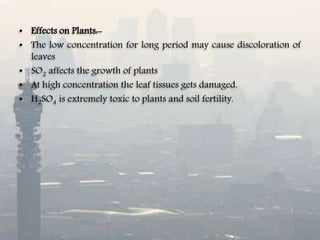 • Effects on Plants:-
• The low concentration for long period may cause discoloration of
leaves
• SO2 affects the growth of plants
• At high concentration the leaf tissues gets damaged.
• H2SO4 is extremely toxic to plants and soil fertility.
 