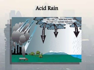 Acid Rain
 