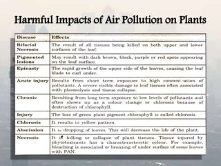 Harmful Impacts of Air Pollution on Plants
 