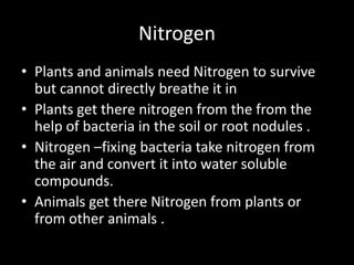 Nitrogen
• Plants and animals need Nitrogen to survive
but cannot directly breathe it in
• Plants get there nitrogen from the from the
help of bacteria in the soil or root nodules .
• Nitrogen –fixing bacteria take nitrogen from
the air and convert it into water soluble
compounds.
• Animals get there Nitrogen from plants or
from other animals .
 