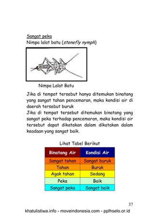 Sangat peka
Nimpa lalat batu (stonefly nymph)




      Nimpa Lalat Batu
Jika di tempat tersebut hanya ditemukan binatang
yang sangat tahan pencemaran, maka kondisi air di
daerah tersebut buruk
Jika di tempat tersebut ditemukan binatang yang
sangat peka terhadap pencemaran, maka kondisi air
tersebut dapat dikatakan dalam dikatakan dalam
keadaan yang sangat baik.

                 Lihat Tabel Berikut

            Binatang Air      Kondisi Air
            Sangat tahan     Sangat buruk
               Tahan            Buruk
             Agak tahan        Sedang
                Peka              Baik
            Sangat peka       Sangat baik


                                                     37
khatulistiwa.info - moveindonesia.com - pplhselo.or.id
 