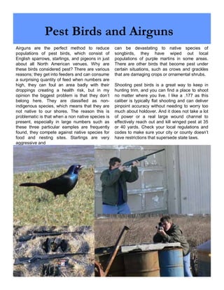 Pest Birds and Airguns 
Airguns are the perfect method to reduce 
populations of pest birds, which consist of 
English sparrows, starlings, and pigeons in just 
about all North American venues. Why are 
these birds considered pest? There are various 
reasons; they get into feeders and can consume 
a surprising quantity of feed when numbers are 
high, they can foul an area badly with their 
droppings creating a health risk, but in my 
opinion the biggest problem is that they don’t 
belong here. They are classified as non-indigenous 
species, which means that they are 
not native to our shores. The reason this is 
problematic is that when a non native species is 
present, especially in large numbers such as 
these three particular eamples are frequently 
found, they compete against native species for 
food and nesting sites. Starlings are very 
aggressive and 
can be devastating to native species of 
songbirds, they have wiped out local 
populations of purple martins in some areas. 
There are other birds that become pest under 
certain situations, such as crows and grackles 
that are damaging crops or ornamental shrubs. 
Shooting pest birds is a great way to keep in 
hunting trim, and you can find a place to shoot 
no matter where you live. I like a .177 as this 
caliber is typically flat shooting and can deliver 
pinpoint accuracy without needing to worry too 
much about holdover. And it does not take a lot 
of power or a real large wound channel to 
effectively reach out and kill winged pest at 35 
or 40 yards. Check your local regulations and 
codes to make sure your city or county doesn’t 
have restrictions that supersede state laws. 
 