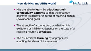 How do NNs and ANNs work?
• NNs are able to learn by adapting their
connectivity patterns so that the organism
improves its behavior in terms of reaching certain
(evolutionary) goals.
• The strength of a connection, or whether it is
excitatory or inhibitory, depends on the state of a
receiving neuron’s synapses.
• The NN achieves learning by appropriately
adapting the states of its synapses.
 