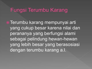  Terumbu karang mempunyai arti
yang cukup besar karena nilai dan
perananya yang berfungsi alami
sebagai pelindung hewan-hewan
yang lebih besar yang berasosiasi
dengan terumbu karang a.l.
 