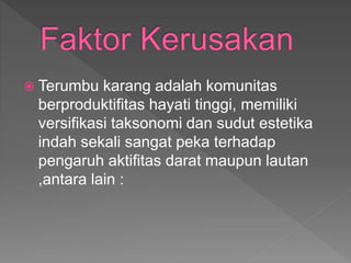  Terumbu karang adalah komunitas
berproduktifitas hayati tinggi, memiliki
versifikasi taksonomi dan sudut estetika
indah sekali sangat peka terhadap
pengaruh aktifitas darat maupun lautan
,antara lain :
 