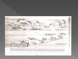 Perairan sumberdaya karang - Pak Rahim