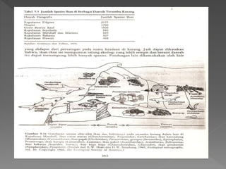 Perairan sumberdaya karang - Pak Rahim
