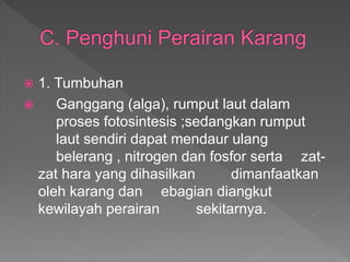  1. Tumbuhan
 Ganggang (alga), rumput laut dalam
proses fotosintesis ;sedangkan rumput
laut sendiri dapat mendaur ulang
belerang , nitrogen dan fosfor serta zat-
zat hara yang dihasilkan dimanfaatkan
oleh karang dan ebagian diangkut
kewilayah perairan sekitarnya.
 