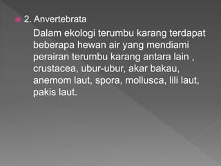  2. Anvertebrata
Dalam ekologi terumbu karang terdapat
beberapa hewan air yang mendiami
perairan terumbu karang antara lain ,
crustacea, ubur-ubur, akar bakau,
anemom laut, spora, mollusca, lili laut,
pakis laut.
 