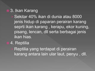  3. Ikan Karang
› Sekitar 40% ikan di dunia atau 8000
jenis hidup di paparan perairan karang
seprti ikan karang , kerapu, ekor kuning,
pisang, lencan, dll serta berbagai jenis
ikan hias.
 4. Reptilia
› Reptilia yang terdapat di perairan
karang antara lain ular laut, penyu , dll.
 