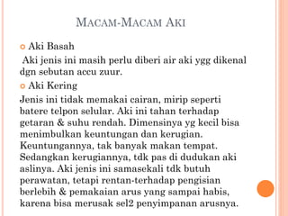 MACAM-MACAM AKI
Aki Basah
Aki jenis ini masih perlu diberi air aki ygg dikenal
dgn sebutan accu zuur.
 Aki Kering
Jenis ini tidak memakai cairan, mirip seperti
batere telpon selular. Aki ini tahan terhadap
getaran & suhu rendah. Dimensinya yg kecil bisa
menimbulkan keuntungan dan kerugian.
Keuntungannya, tak banyak makan tempat.
Sedangkan kerugiannya, tdk pas di dudukan aki
aslinya. Aki jenis ini samasekali tdk butuh
perawatan, tetapi rentan-terhadap pengisian
berlebih & pemakaian arus yang sampai habis,
karena bisa merusak sel2 penyimpanan arusnya.


 