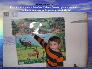 What can we do?   First we  can learn a lot of stuff about forests , plants, animals ….  To know how can we help and prote...
